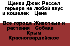 Щенки Джек Рассел терьера на любой вкус и кошелек › Цена ­ 13 000 - Все города Животные и растения » Собаки   . Крым,Красногвардейское